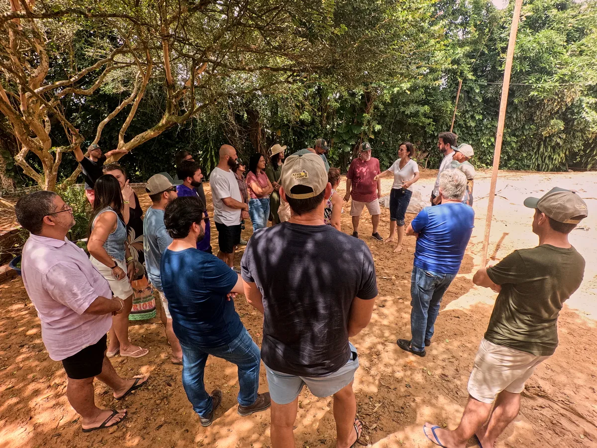 Participantes acompanhando uma etapa prática da imersão