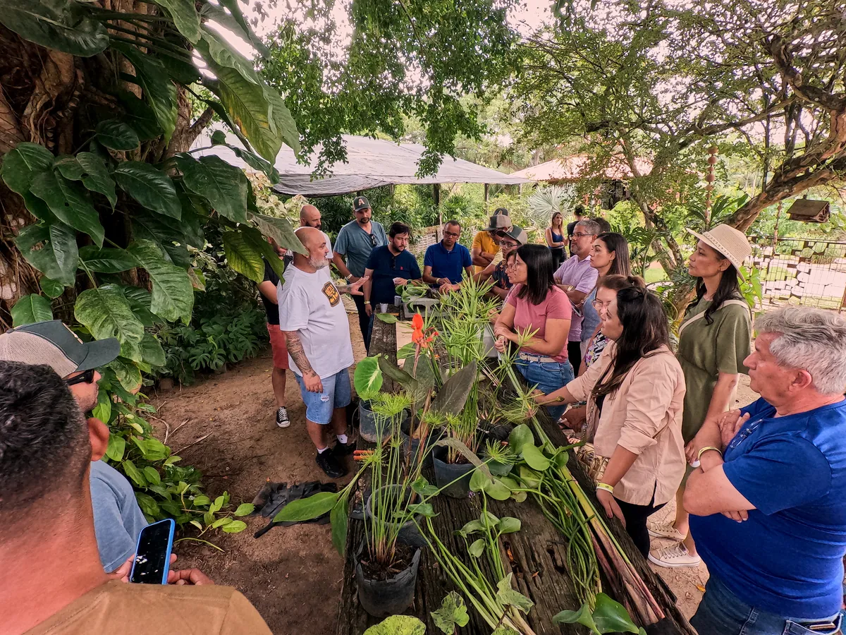 Aula prática sobre plantas e paisagismo durante a imersão